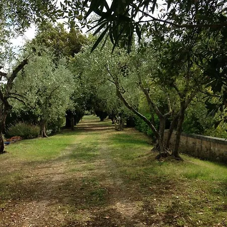 Fontebenedetta Piscina Natura E Panorama 度假居 锡耶纳